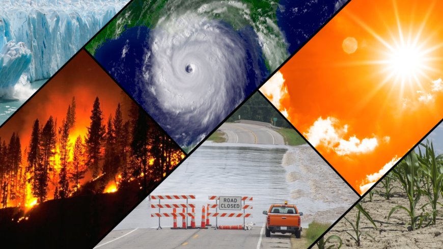 Acknowledging Climate Change as the Next "Covid-type" Crisis: Evaluating Implications