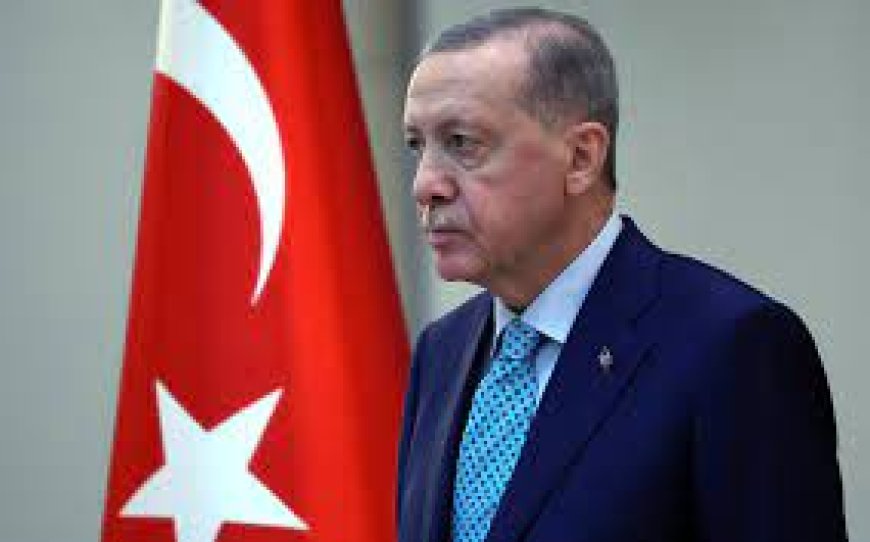 Erdogan Calls for Ceasefire as Israel-Gaza Conflict Escalates